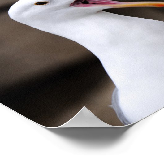 FUNNY Seagull Poster (Hoek)