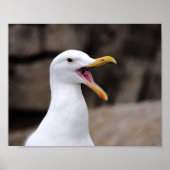 FUNNY Seagull Poster (Voorkant)