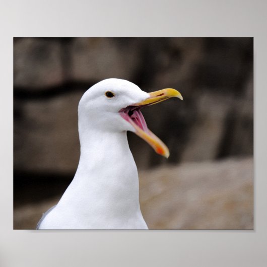 FUNNY Seagull Poster (Voorkant)