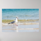 Funny seagull poster (Voorkant)