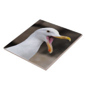 FUNNY Seagull Tegeltje (Zijkant)