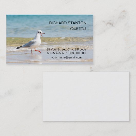 Funny seagull visitekaartje (Voorkant / Achterkant)