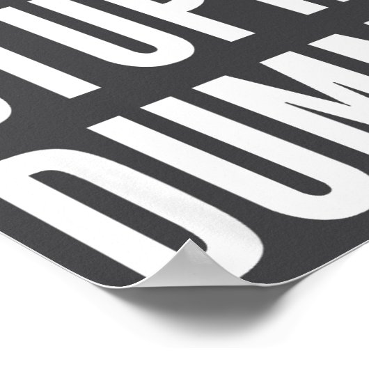 Funny Self Deprecating Quote Big Stud Dummy  Poster (Hoek)