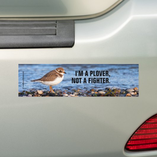 Funny Semipalmated Plover geen vechter Bumpersticker (Op auto)