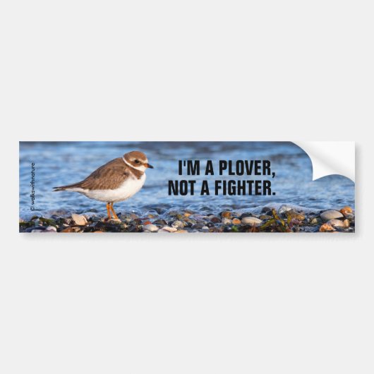 Funny Semipalmated Plover geen vechter Bumpersticker (Voorkant)