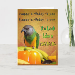 Funny Senegal Parrot Birthday Card Kaart