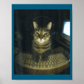 Funny Serious Gamer Cat Lovers Stud Kitty Cat Meme Poster (Voorkant)