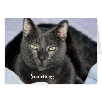 Funny Shake My Head-kaart