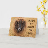 Funny Sheep Advice Wisdom Birthday Kaart (Gele Bloem)