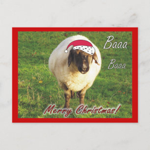 Funny Sheep-Briefkaart Feestdagenkaart
