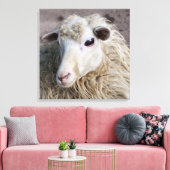 Funny Sheep Canvas Afdruk (Insitu (Woonkamer))