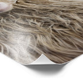 Funny Sheep Foto Afdruk (Hoek)