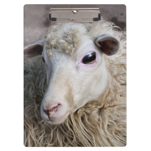 Funny Sheep Klembord (Voorkant)