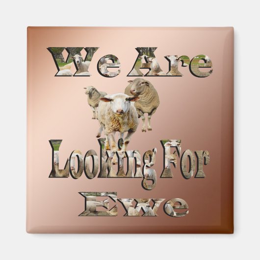 Funny Sheep Pun op zoek naar ooien, Fridge Magnet (Voorkant)
