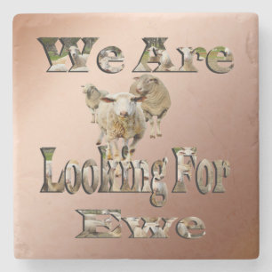 Funny Sheep Pun op zoek naar ooien, stone Onderzet Stenen Onderzetter