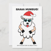 Funny Sheep Scrooge Baa Humbug Kerstmis Feestdagenkaart (Voorkant)