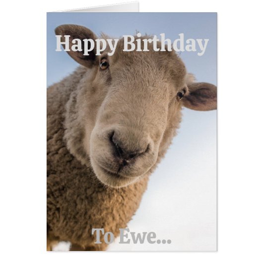 Funny Sheep Veelzijdige Personaliseerbare Verjaard (Voorkant)