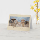 Funny Sheep wenskaart Kaart (Gele Bloem)