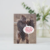 Funny Shelter op zijn plaats Gorilla Jail Inmate Briefkaart (Staand voorkant)
