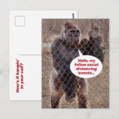 Funny Shelter op zijn plaats Gorilla Jail Inmate Briefkaart (Voorkant / Achterkant)