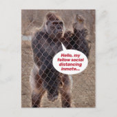 Funny Shelter op zijn plaats Gorilla Jail Inmate Briefkaart (Voorkant)