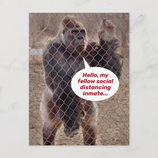 Funny Shelter op zijn plaats Gorilla Jail Inmate Briefkaart (Voorkant)
