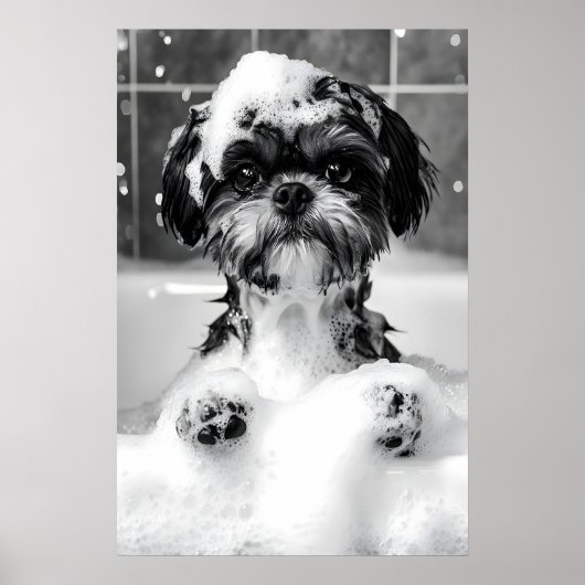 Funny Shih Tzu Bubble Bath Photograph, Dog Poster (Voorkant)