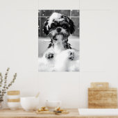 Funny Shih Tzu Bubble Bath Photograph, Dog Poster (Keuken)