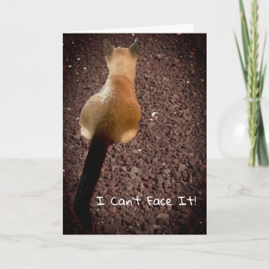 Funny Siamese Kitten Butt Foto Belitday Kaart (Voorkant)