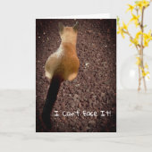 Funny Siamese Kitten Butt Foto Belitday Kaart (Gele Bloem)