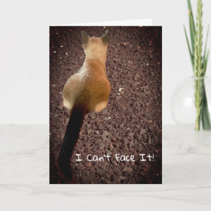 Funny Siamese Kitten Butt Foto Belitday Kaart