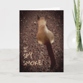 Funny Siamese Kitten Butt Foto van Birthday Kaart (Voorkant)