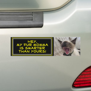 Funny Siamese Kitten Close-up-fotosjabloon Bumpersticker