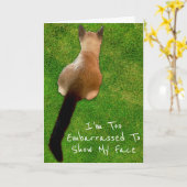 Funny Siamese Kitten Foto Belated Birthday Kaart (Gele Bloem)