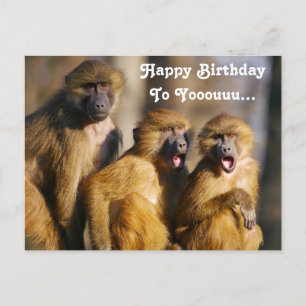 Funny Singing Monkeys - Barbary Macaques Briefkaart