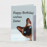 Funny Sister Birthday wenst Siamese kat Animal Kaart<br><div class="desc">Grappig zuster Birthday wil dat je met Siamese kat Animal Humor bent. Perfect voor die zuster in je leven met een gevoel van humor,  een liefde voor katten en een verjaardag</div>