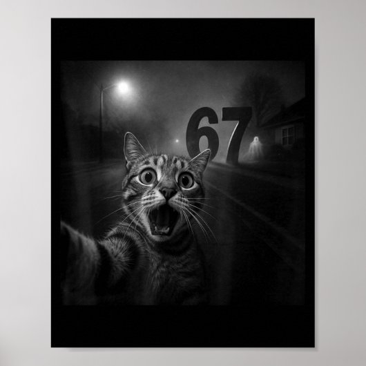 Funny Six Seven 6 7 Meme Gen Z Alpha Slang Cat Sel Poster (Voorkant)