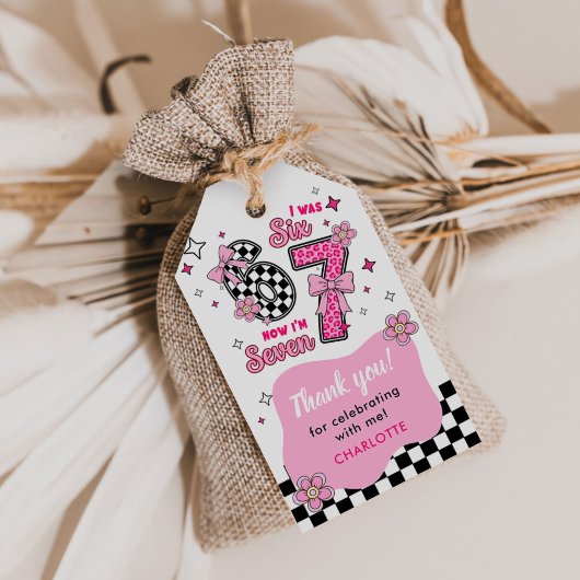Funny Six Seven Party 67 Girl Birthday Cadeaulabel
