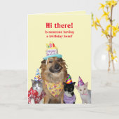 Funny Sjabloon voor Birthday (Gele Bloem)