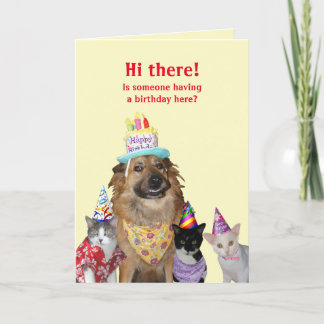 Funny Sjabloon voor Birthday