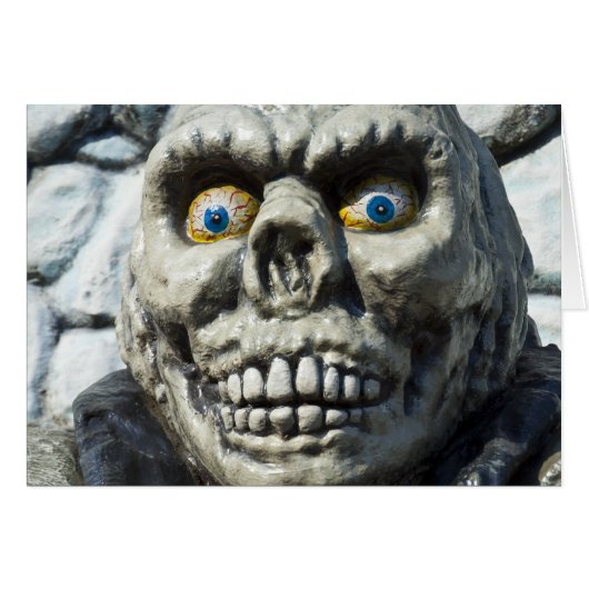 Funny Skull (Voorkant Horizontaal)