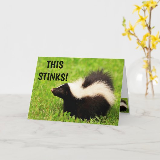 Funny Skunk Feel Better Kaart (Gele Bloem)