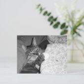 Funny Slapende Kat in het Briefkaart van Bed (Staand voorkant)