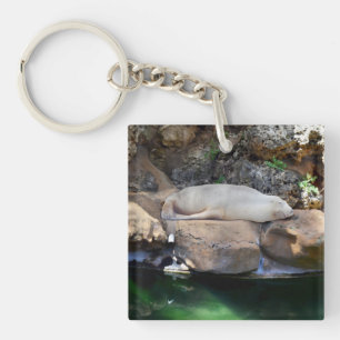 Funny Slapende White Zee Lion on Rocks Sleutelhanger