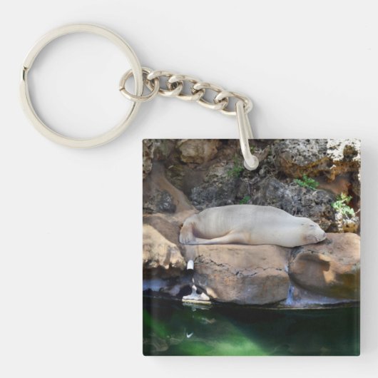 Funny Slapende White Zee Lion on Rocks Sleutelhanger (voorkant)