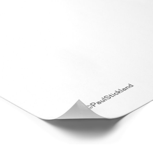 Funny Sleepy Owl Poster (Hoek)