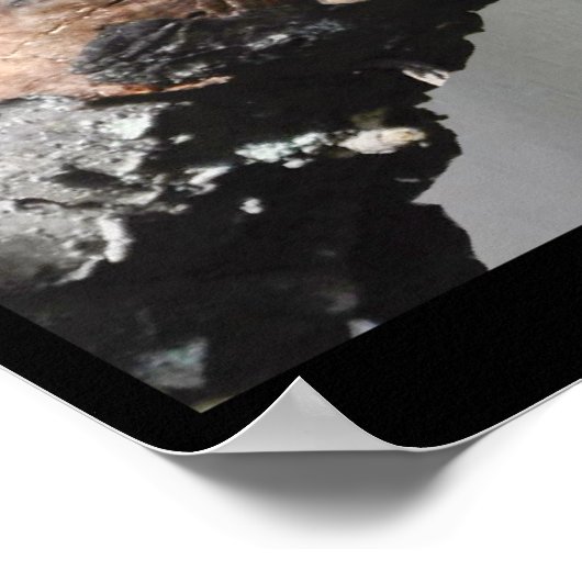 Funny Sleepy Squirrel Blank Kaart Poster (Hoek)