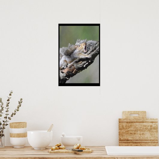 Funny Sleepy Squirrel Blank Kaart Poster (Keuken)