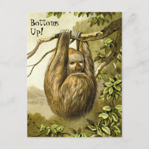 Funny Sloth met 'Bottoms Up'-Briefkaart Briefkaart