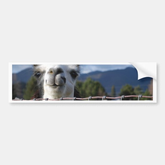 Funny Smiling Llama in Southern Oregon Bumpersticker (Voorkant)